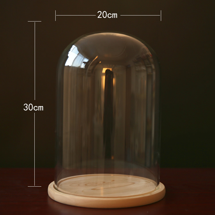 Fábrica eterna flor cubierta de vidrio creativo artesanía decoración transparente florero de cristal soporte varios tamaños