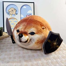�羳�¿� �ҵĵ��ܹ���what the dog doing������ë����߿�ͨ