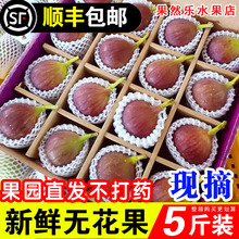 ��S���]���r��ϼtƤ�o�������x���Fժ������ˮ��ܛŴ�����ЋD