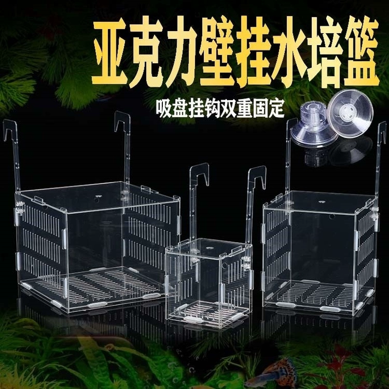 Fish tank hydroponic plant fixing frame wall hanging hydroponic vessel planting basket acrylic flower pot planting blue deepened aquatic plants