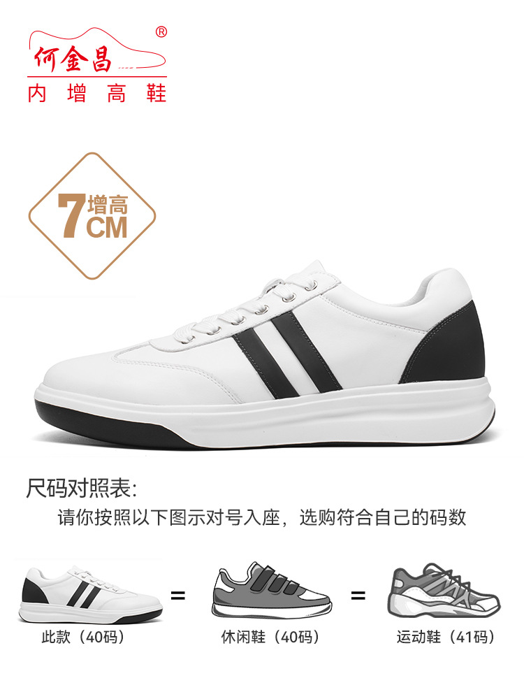 화이트