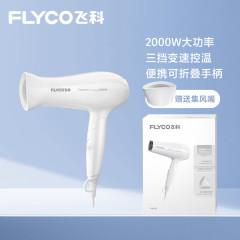 Feike FH6232 ヘアドライヤー家庭用ハイパワーヘアケアヘアサロン強風ヘアドライヤー、2000WFH6231