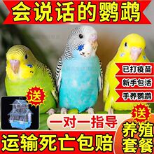 ��Ƥ�W�^����B���P�W�^���w�Bĵ���W�^���fԒ���W�^�����B�W�^