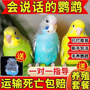 ��Ƥ�W�^����B���P�W�^���w�Bĵ���W�^���fԒ���W�^�����B�W�^