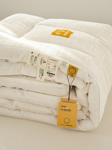 Modern simple style Class A waffle pure cotton breathable mattress Li Guanqi soybean mattress breathable and close-fitting