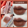Lip gloss, matte lip balm, lipstick, translucent shading