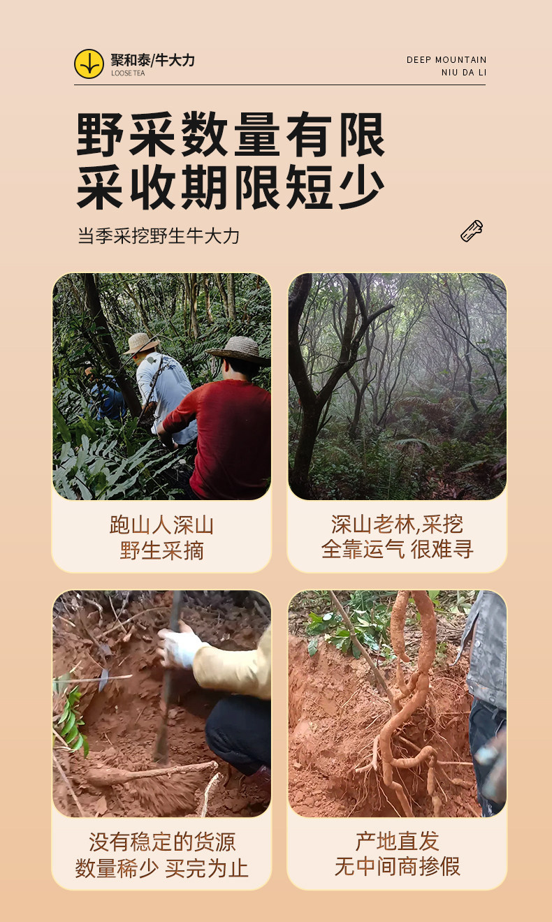 Millettia Speciosa Root Dried Slices Niu Da Li TCM Soup Herb for Decoction and Herbal Wine 500g key features