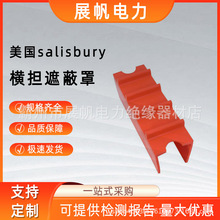 �������^Ӳ�|���o��Salisbury145�M���ڱ����p����|���z���x��