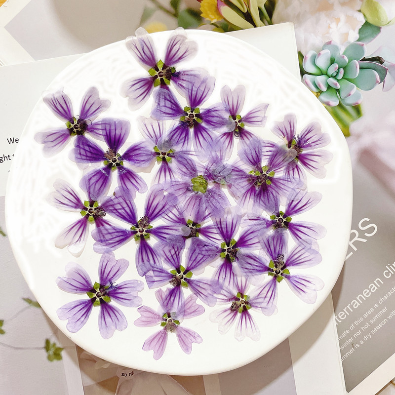 微信图片_20220918013435