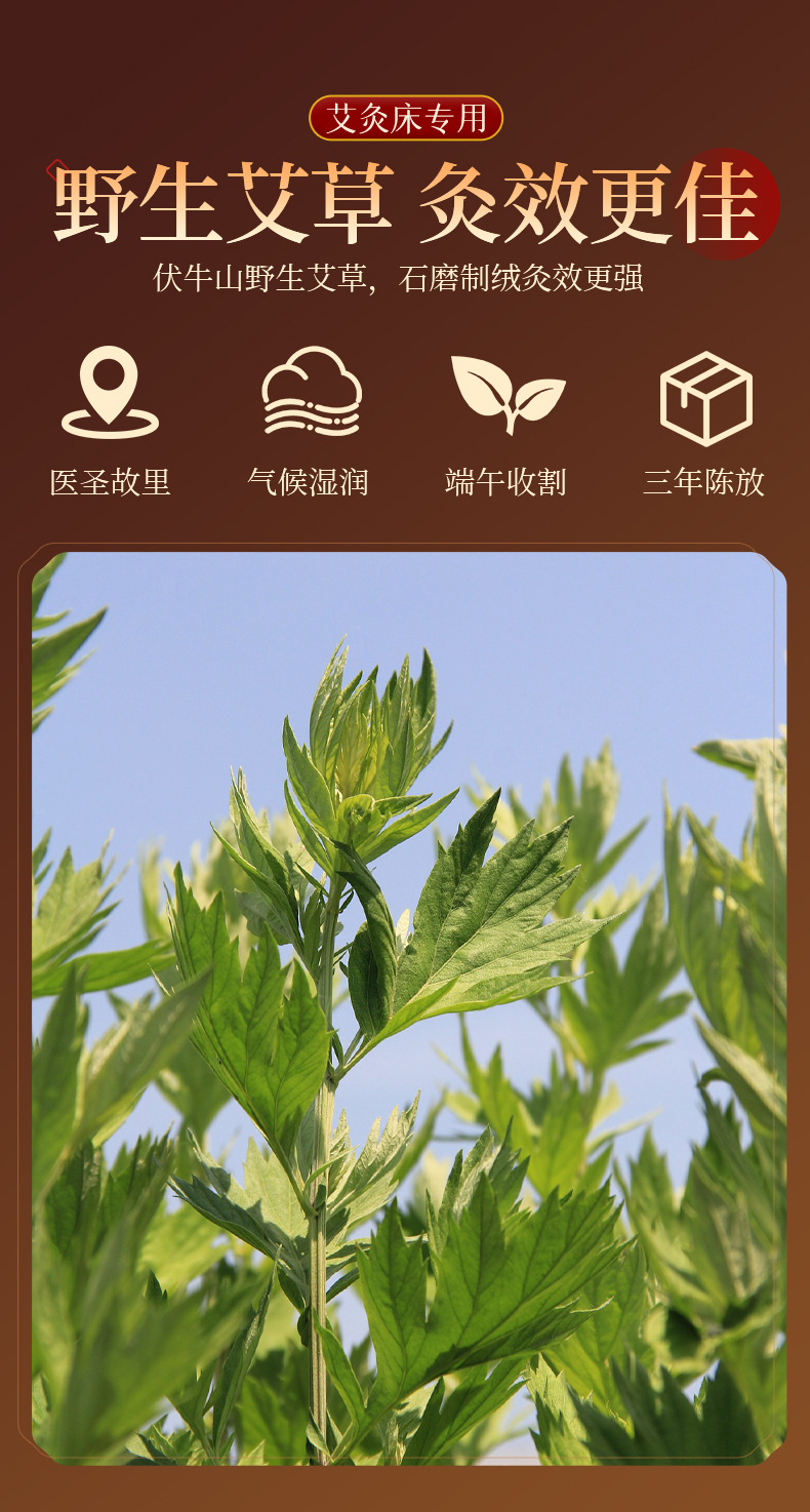 Moxa Cones Ai Zhu 艾柱 3x4cm Stone-Milled Moxibustion Sticks for Moxa Bed and Home Use 150 Boards 1800 Pieces overview