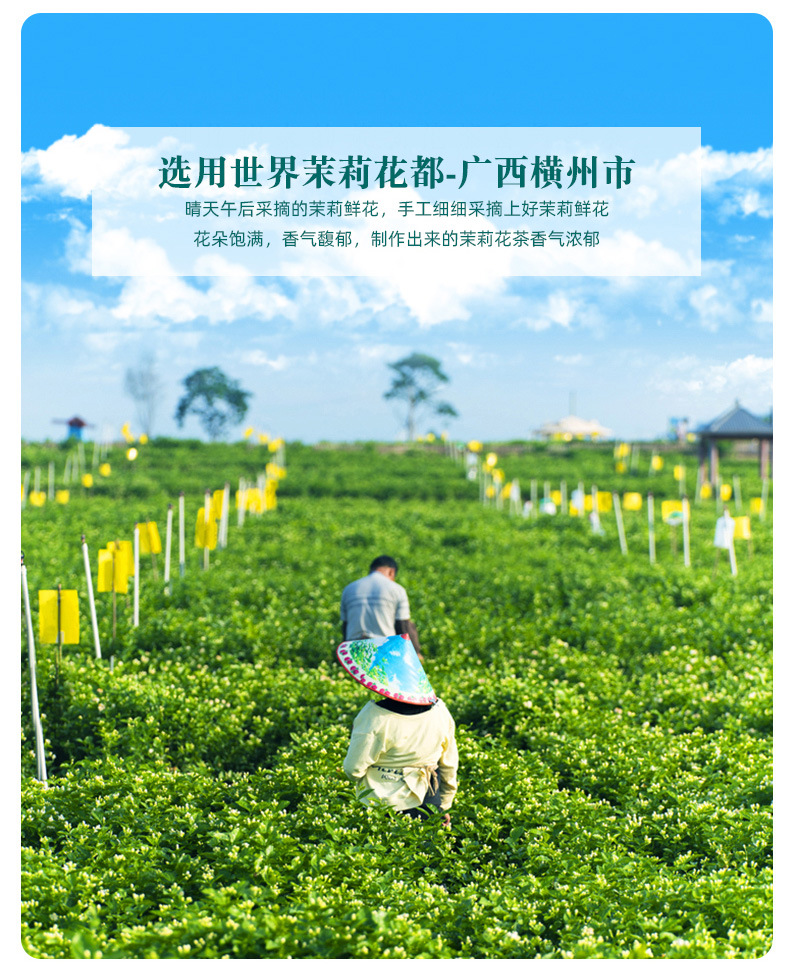 详情_13.jpg