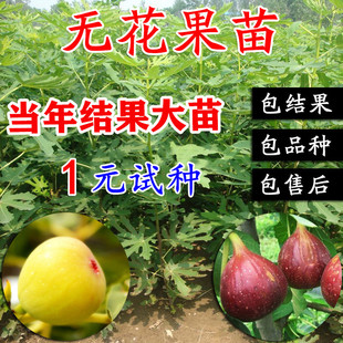 �o���������Ϸ������Nֲ�ļ��̨����ͥԺ�����ش󲨼��t����Y��