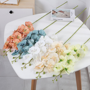 �羳���滨�zӡ8�������mС�m����c�廨��ɫ�����m�b���Ʒ�ٻ�