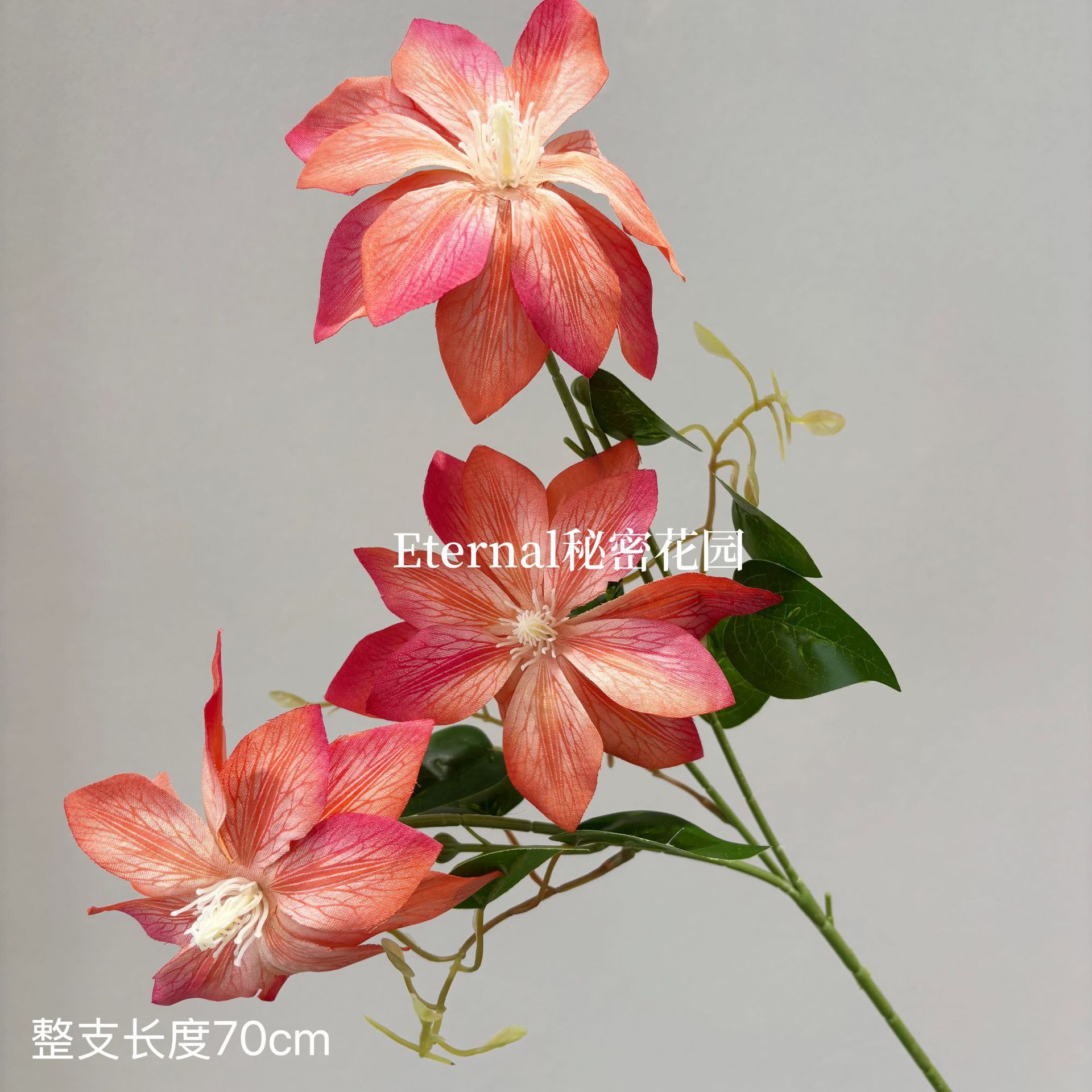 Oil painting clematis