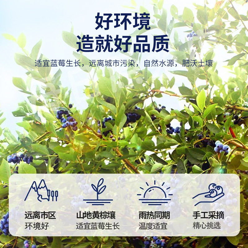 蓝莓原浆植物饮料浓缩果汁鲜果鲜榨浓缩饮品厂家现货批发一件代发|undefined