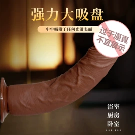 仿真阳具;名器倒模