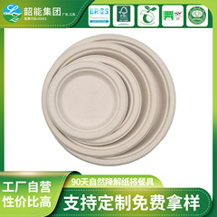 使い捨ての皿の紙皿は家庭用の分解性パルプ食器の絵画を厚くします。