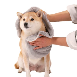 狗狗服装;狗狗清洁;宠物绝育服/生理裤