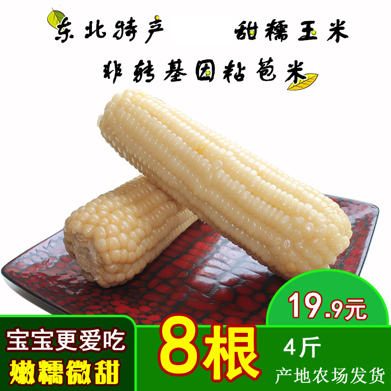 Moon Island Heilongjiang Waxy corn 84 Cooked corn vacuum Waxy corn cob Place of Origin Farm Deliver goods