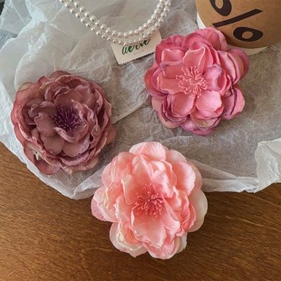 ܽ��ĵ����߅�AŮ�^���^l�2025�¿�߶˂�߅����A�ӄ�����l