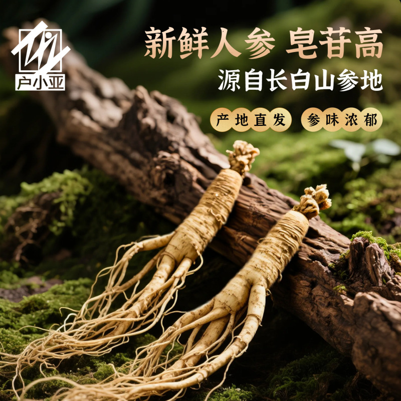 长白山鲜人参10克/根 东北人参养生滋补煲汤专用|undefined