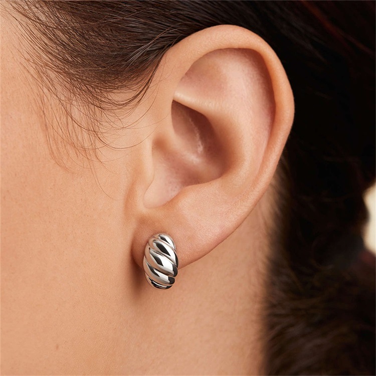 1 Par Moda Forma De C Enchapado Acero Inoxidable Pendientes display picture 2