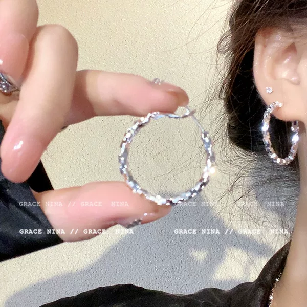 Simple ~ irregular hoop earrings female niche design ear pin high-grade simple earrings 2024 New