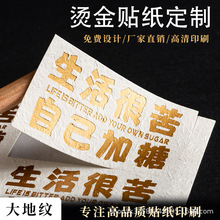 �߼��C�𲻸��z�N�����ƏV���̘˶������~����N����LOGO�˺�