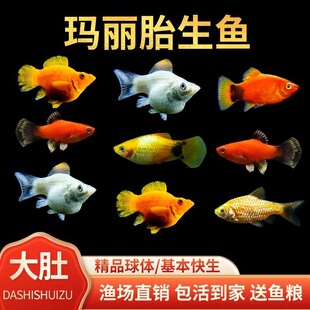 ̥���~�����~Ƥ���~���B�ͻ��^�p�~С�͟Ꭷ���w�~�׷�ֳ������]