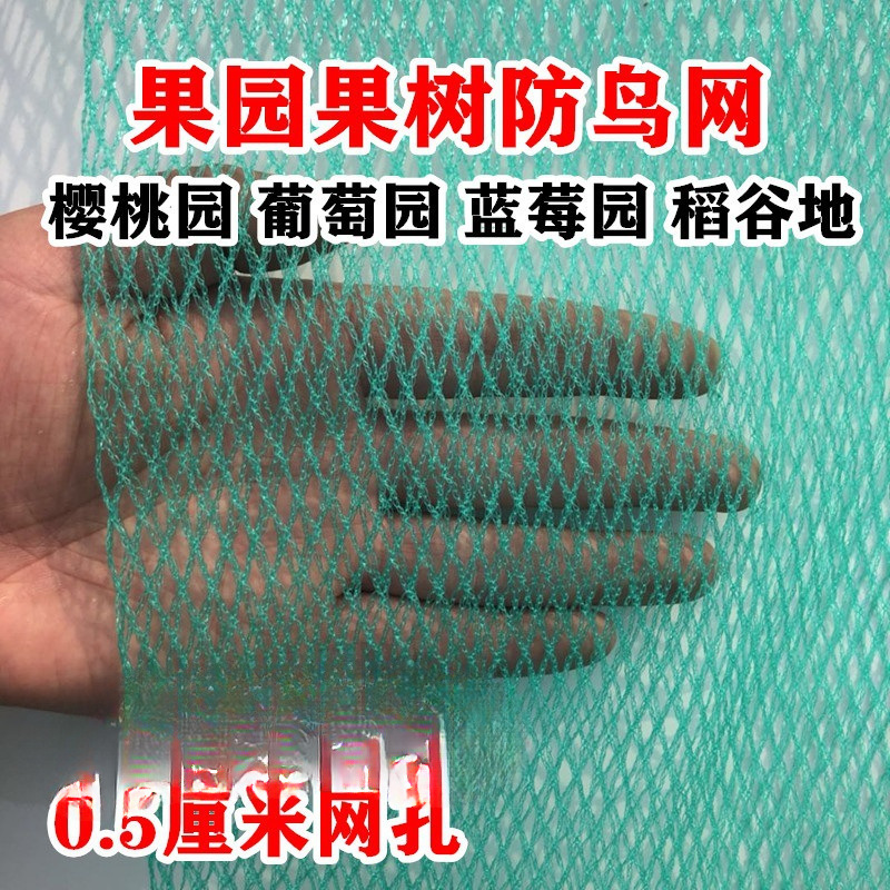 华贸大棚防冰雹用网围网养殖樱桃果树渔网罩网防鸟果园防鸟网葡萄