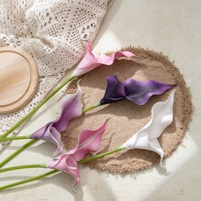 彩虹素描师EVA马蹄莲批发INS风仿真花家居装饰跨境假花MW01517