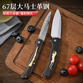 水果刀;不锈钢厨用刀;其他刀剪具