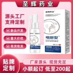 至輝製薬 喉用医療口腔塗布剤 急性・慢性喉の不快感・風邪 現物正規品 即納・一件から発送