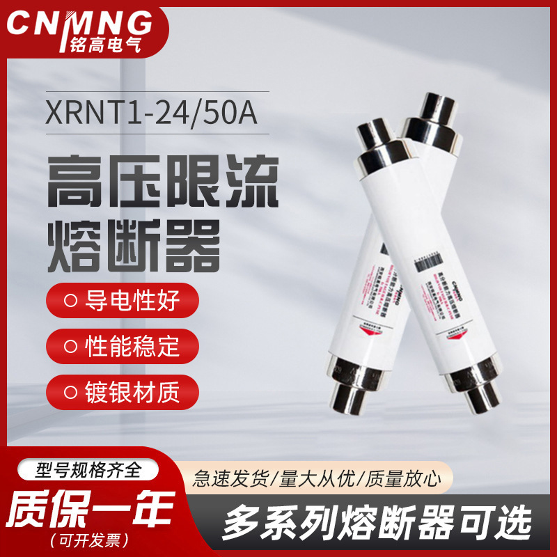 变压器保护用24KV高压限流熔断器XRNT1-24/50-125A负荷开关保护用