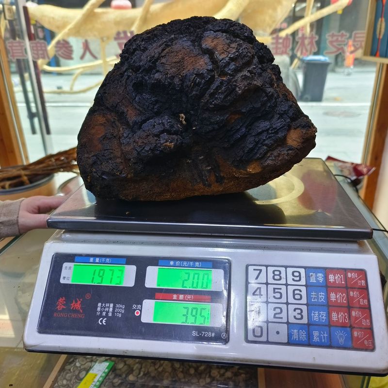 Chaga 500 グラム長白山野生ブラックゴールド顆粒食品健康送料無料包装バルク大量卸売栄養|undefined
