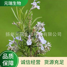 工业植物提取;植物提取物;植物香料