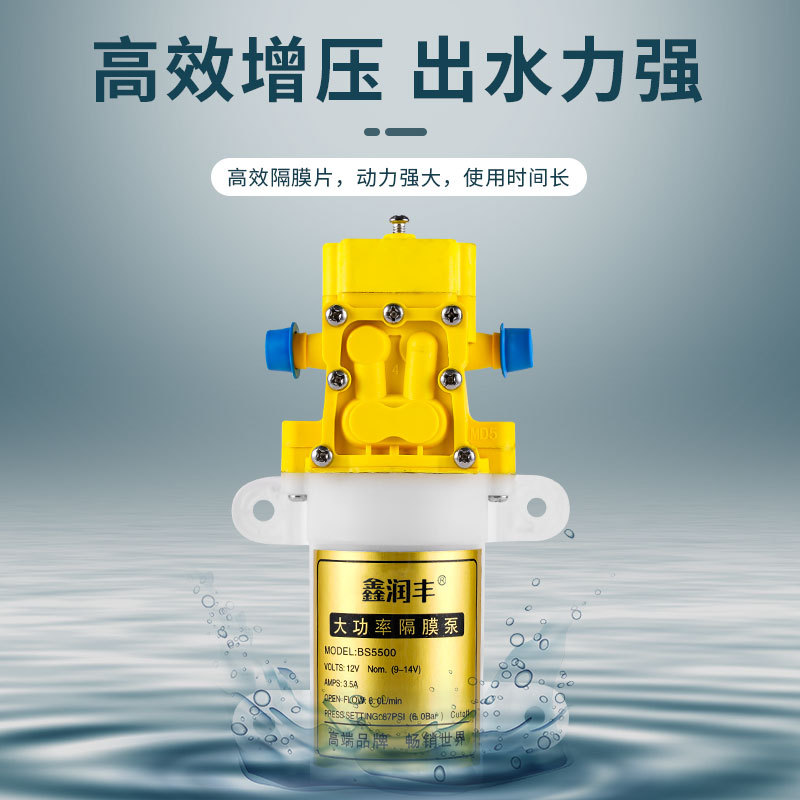 12v电动喷雾器水泵农用高压纯铜电机农药喷雾器打药泵隔膜泵水泵