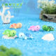 Huayue Horticultural Moss Micro Landscape Ecological Bottle Five-color Turtle Turtle Doll dIY Landscaping