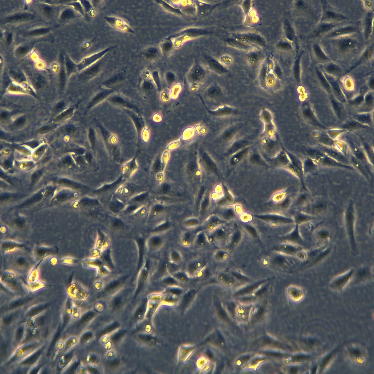 2025-09-17 14:31:45.jpg