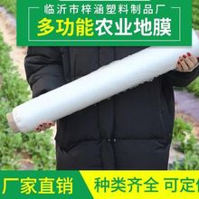 厂家直销农用白地膜白色透明保温地膜保湿地膜蔬菜地膜10公斤/卷