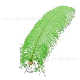 羽毛、羽绒;除尘掸