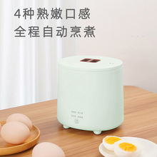 ๦ԄӔCSteam egg cooker