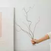 Long Liu 5 Small Branches-About 50 ~ 60cm Mix and match