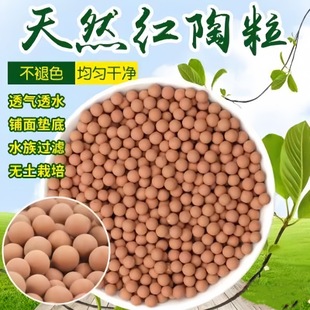 ��ˮ�������⻨�É|�����ʯˮ��ֲ�ﶹѿ������͸���~����̿��