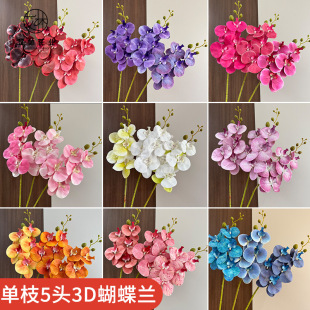 ��֦5�^3D�����m���滨��ʽ�Ҿ��b�ˇ�廨��c�û���������