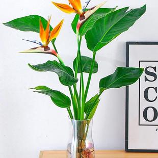 �҃Ȼ���ˮ��ֲ�︻�F�������������Bˮ�B�Q���m���Դ��;Gֲ