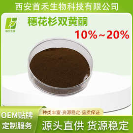 穗花杉双黄酮20%  有100g包装  卷柏提取物  另有高含量 首禾厂家