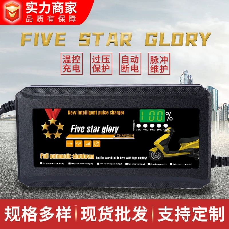 Трансграничные прямые поставки зарядных устройств для свинцово-кислотных аккумуляторов, зарядные устройства для свинцово-кислотных аккумуляторов электромобилей с умным цифровым дисплеем и рейтингом «Пять звезд»