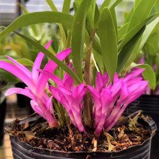 �߲���ˮʯ���m���玧�tѿ�҃����Ի��ܾGֲ��������ˮ��������B