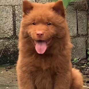 ���l������tȮ��Ȯ���w������tȮ���B���CȮ�����oԺ���͌��ﹷ